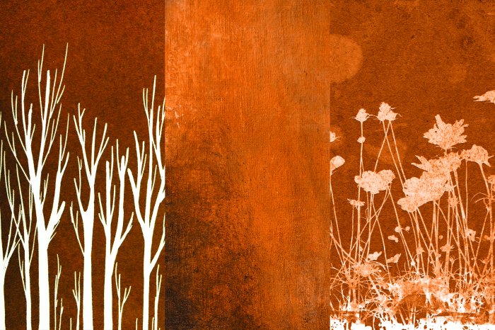 Fotobehang Boomtakken met delicate grassen op de achtergrond