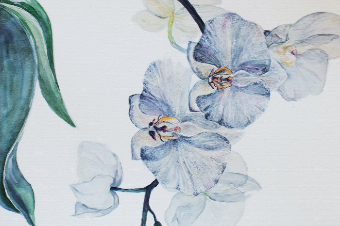 Fotobehang Blauwe orchidee tussen groene bladeren