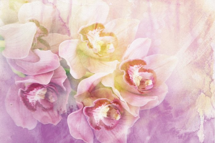 Fotobehang Een artistiek geschilderde orchidee in roze