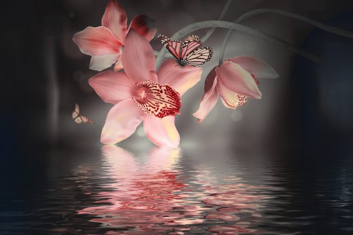 Fotobehang Orchideeën en vlinders tegen de blauwe waterachtergrond