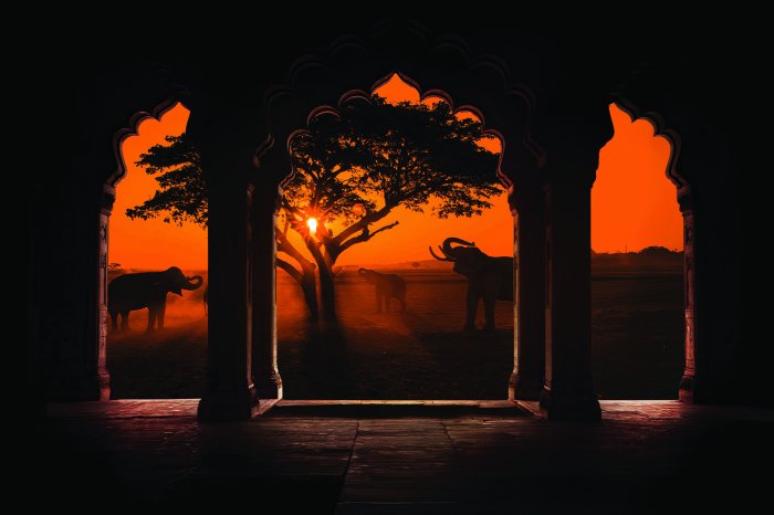 Fotobehang Bogen en olifanten bij zonsondergang