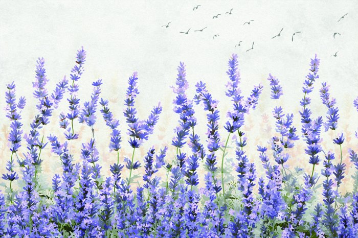 Fotobehang Lavendelbloemen en vogels op de achtergrond