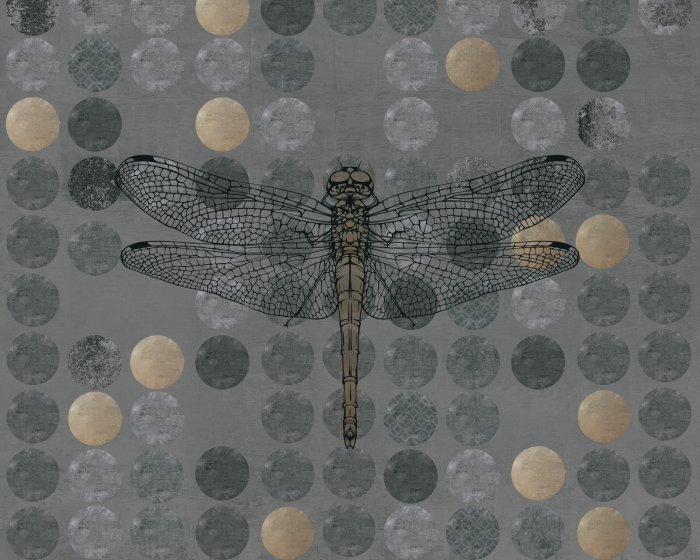 Fotobehang Libel op een achtergrond van cirkels