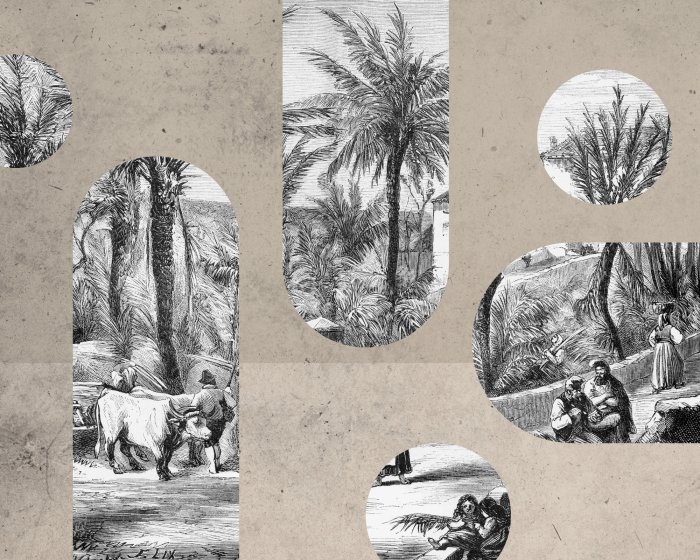 Fotobehang Gravures van palmbomen en plattelandstaferelen tegen een betonnen achtergrond