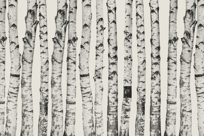 Fotobehang Minimalistisch berkenboompatroon op een lichtbeige achtergrond