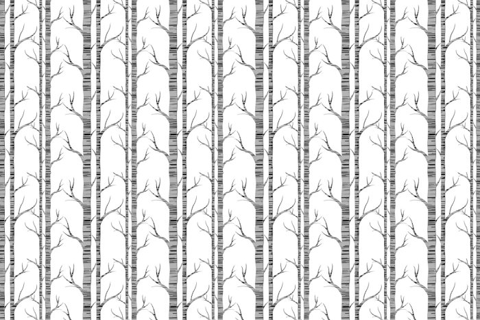 Fotobehang Grijze berkenbomen met twijgen