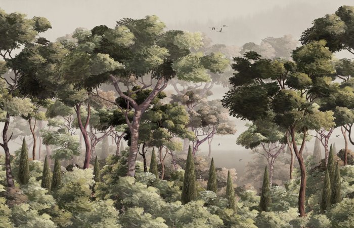 Fotobehang Een natuurlijk landschap met bomen en een zachte mist