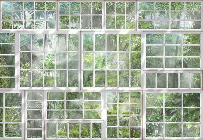 Fotobehang 3D-weergave van een tropische jungle door een raam