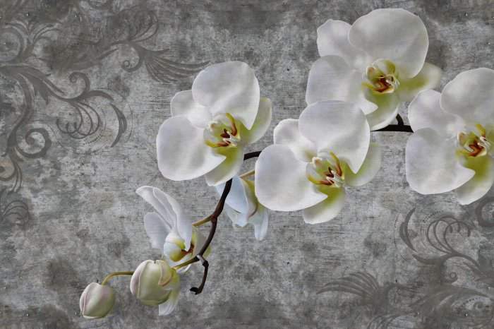 Fotobehang Witte orchidee op beton