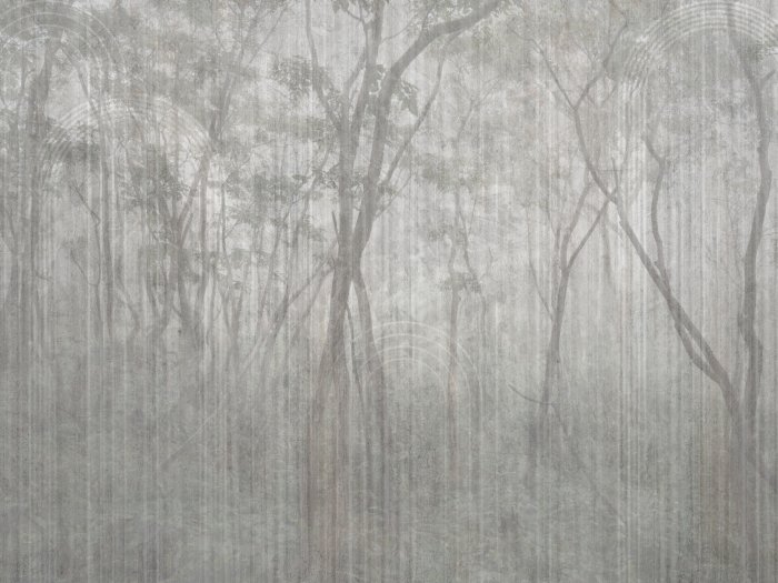 Fotobehang Mistige bomen in een vredig park