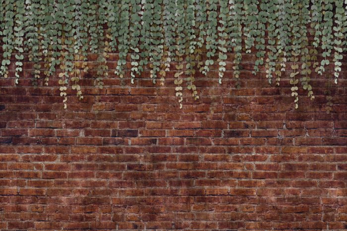 Fotobehang Groene planten hangen tegen een bakstenen muur