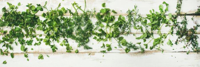 Fotobehang Flatlay-foto van verse groene kruiden