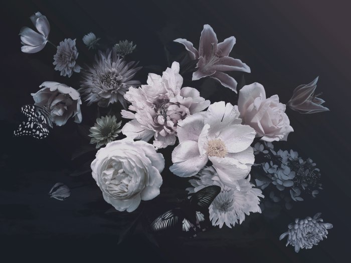 Fotobehang Bloemen en vlinders op een donkere achtergrond