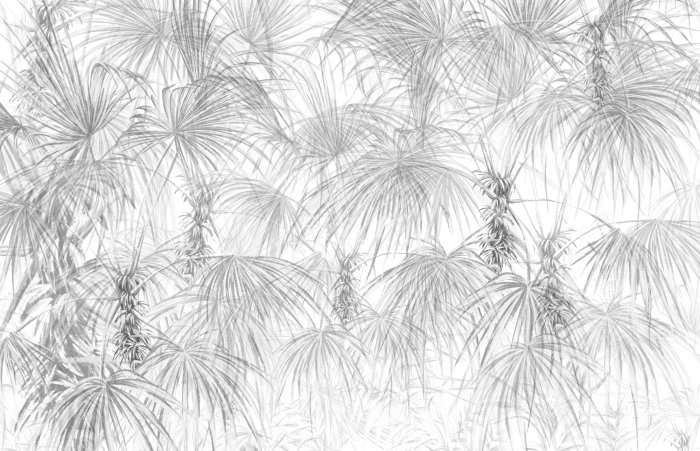 Fotobehang Palmbomen grijze tropische bladeren