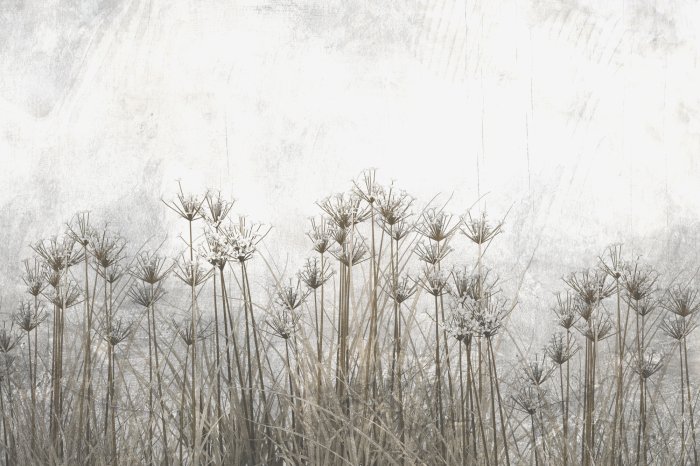 Fotobehang Wilde bloemen en planten in een industriële loftstijl