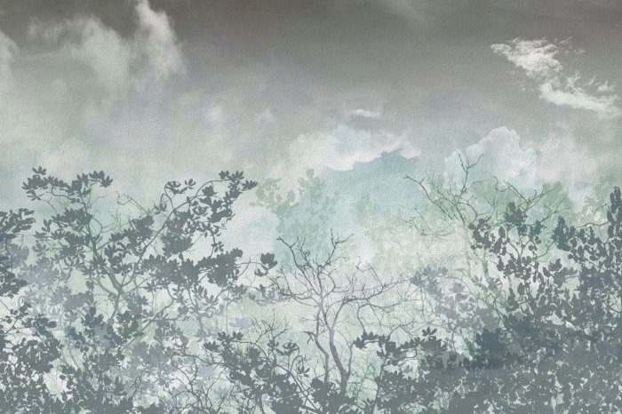 Fotobehang Silhouetten van bomen