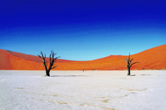 Fotobehang Een woestijnlandschap met droge bomen en heuvels