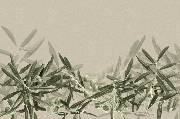 Fotobehang Groene olijfbladeren op een delicate lichte achtergrond