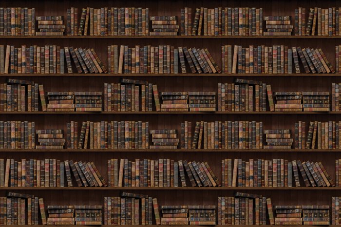 Fotobehang Bibliotheekplanken vol boeken