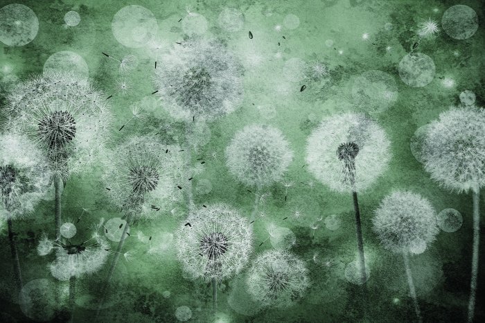 Fotobehang Groene achtergrond met delicate paardenbloemen