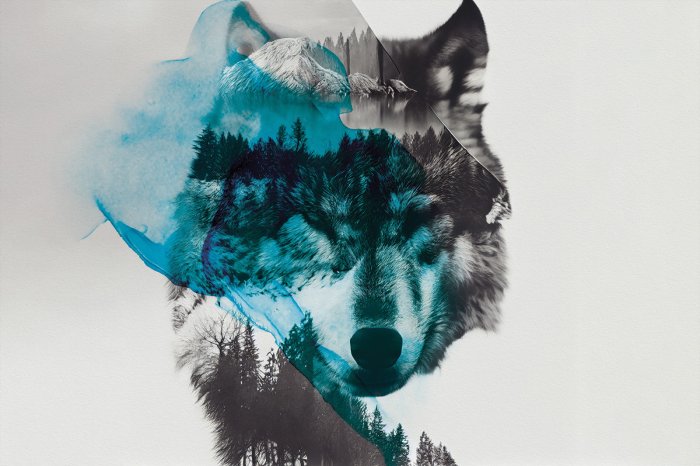 Fotobehang Abstract portret van een witte wolf in het bos