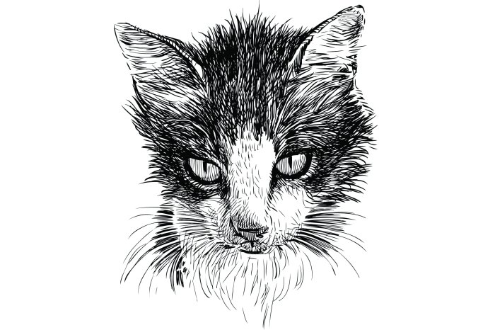 Fotobehang Zwart-witte kattenschets