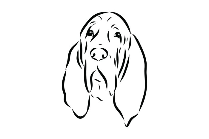 Fotobehang Schets van een hond in zwart-wit