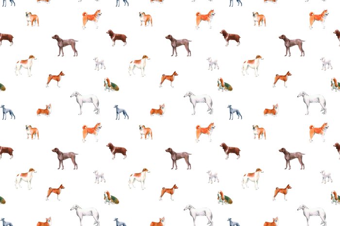 Fotobehang Rashonden in een artistieke uitvoering