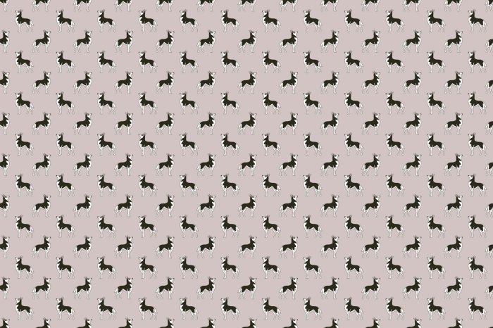 Fotobehang Minimalistisch hondenmotief in zwart-wit