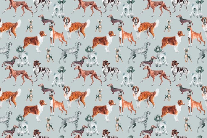 Fotobehang Verschillende hondenrassen in een illustratiestijl