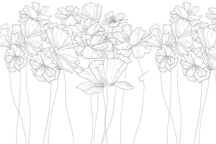 Fotobehang Schets van wilde bloemen op een lichte achtergrond