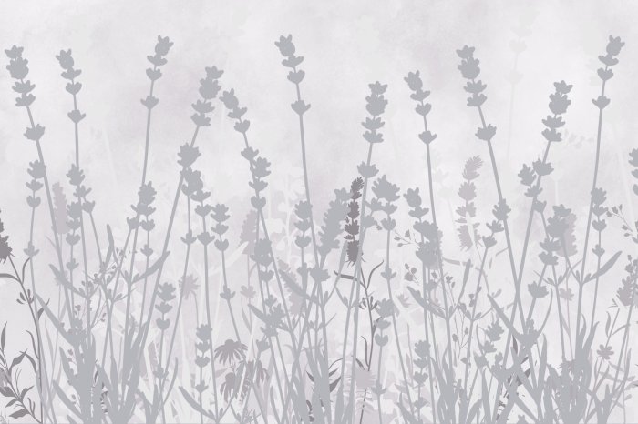 Fotobehang Grijze schaduwen van lavendelbloemen tegen de betonnen achtergrond