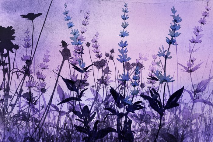 Fotobehang Lavendelplanten en bloemen op een roze achtergrond