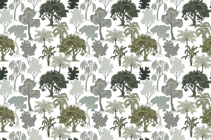 Fotobehang Tropische bomen in de wilde jungle