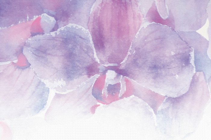 Fotobehang Aquarel orchidee in tinten roze en paars