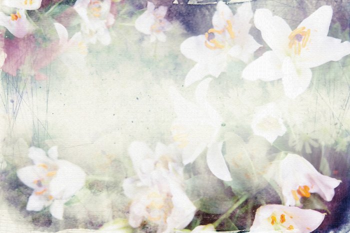 Fotobehang Abstracte compositie met bloemen