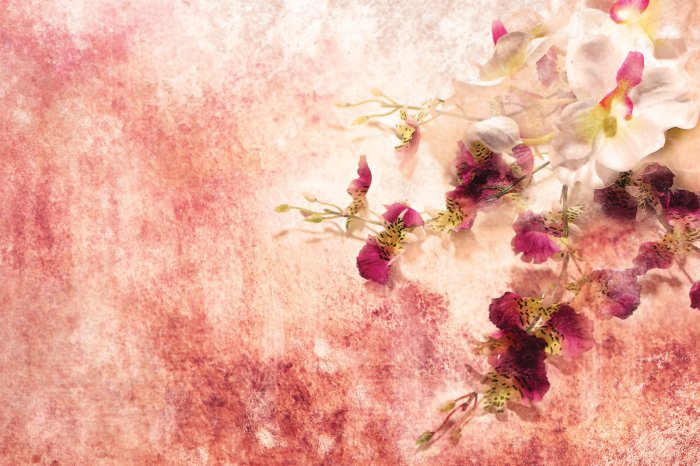 Fotobehang Abstracte roze orchideeënbloemen