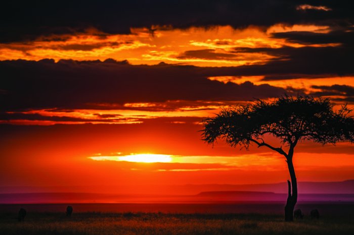 Fotobehang Afrikaanse oranje zonsondergang