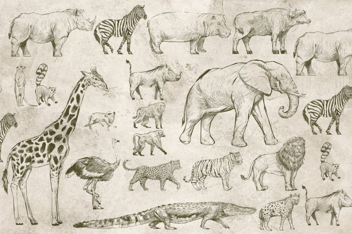 Fotobehang Getekende safaridieren op een betonnen achtergrond