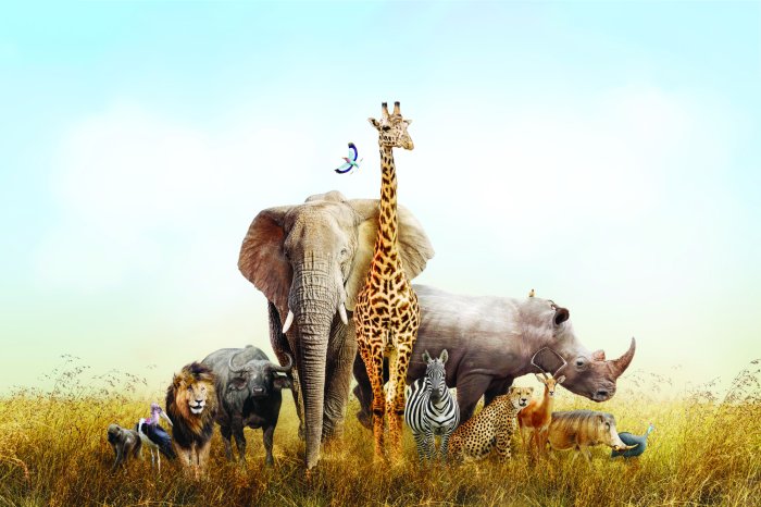 Fotobehang Wilde dieren van de Afrikaanse safari