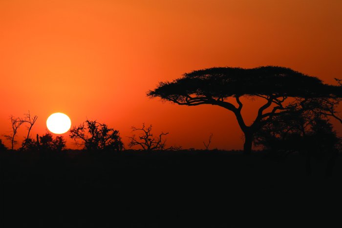 Fotobehang Natuur bij zonsondergang in Afrika