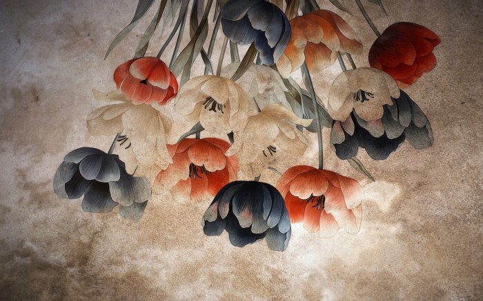 Fotobehang Kleurrijke tulpen hangen erboven