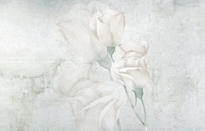 Fotobehang Witte rozenbloemen op een betonnen achtergrond
