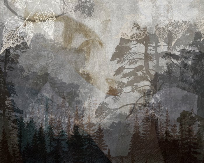 Fotobehang Boslandschap met de schaduw van een paard in grijstinten