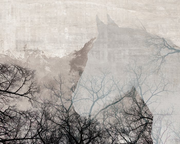 Fotobehang Silhouet van een paard en boomtakken op een betonnen achtergrond