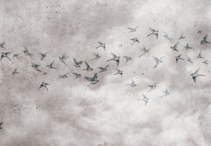 Fotobehang Industrieel patroon met vogels op een betonnen achtergrond
