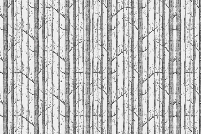 Fotobehang Slanke grijze bomen op een lichte achtergrond