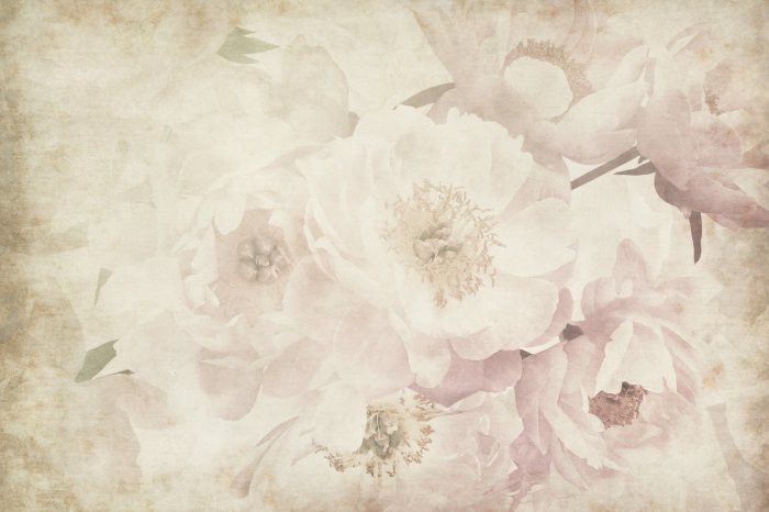 Fotobehang Aquarelpioenen in retrostijl