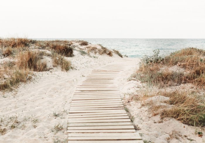 Fotobehang Landschap van strand, zee en duinen met begroeiing