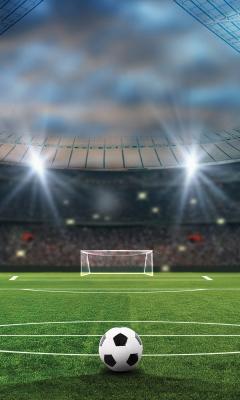 Sticker Bal op het gras van een voetbalstadion